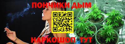 стаф Обь