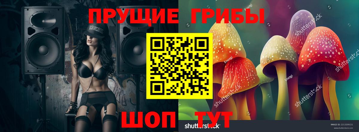 Сочи  Галлюциногенные грибы Psilocybine cubensis  Вход с VPN 